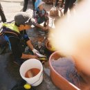 웅이민박 이미지