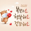 삼화 태권브이스쿨 이미지