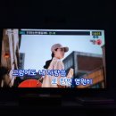 샹떼 코인 이미지