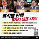 윤석열 탄핵사유 이미지