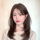 쁘띠헤어 이미지