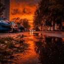 주정차-16 이미지