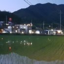 다라니펜션 이미지