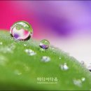 삼양공업사 이미지