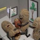 트레이스산부인과의원 | [임신준비]용산구 보건소 30대 가임력(AMH) 검사 후기