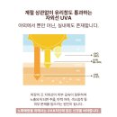 프로젝트 텐