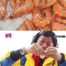 산호대로-8 이미지