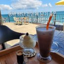 아라마루펜션 | 동해 바다 한눈에 담기 좋은 울진 &#39;아라마루 카페펜션&#39;