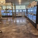 도그마루 강아지 고양이 양산화명점 이미지