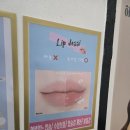 오드리뷰티 | 주안네일 오드리뷰티 젤로립 솔직후기