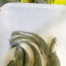 무지개펜션 이미지