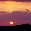 한오백년 이미지