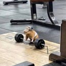 (주)이플랜 | [운동] 플랜핏 4개월 프리미엄 회원 사용 후기 | 내돈내산 | 혼자서 운동 해내기