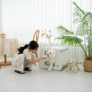 케어포유 이미지