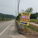 체리 팜 이미지