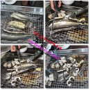 구룡천1 이미지