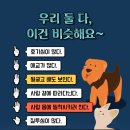 다솜동물병원 이미지