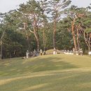 思陵사릉 단종의 부인 정순왕후송씨 이미지
