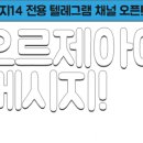 캐트시