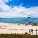 에메랄드 이미지