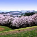 시원목장 이미지