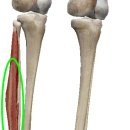 행복휘트니스 이미지