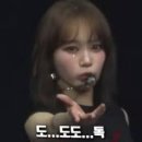 올마이티 이미지