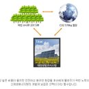 해바라기 태양광발전소 이미지