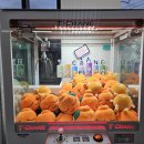 애월오락실 | 애월오락실 제주 애월카페거리 한담해안산책로 놀거리 가볼만한곳 추천