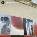 정희축사 네이버블로그