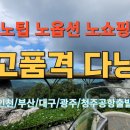 예주항공여행사 이미지