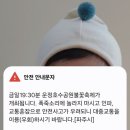 불꽃노래광장 이미지