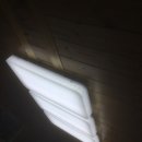 대둔산로(1) Daum카페