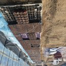 재성농장 이미지