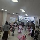 클로버 애견미용 이미지