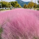 논공공단주유소 이미지