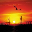 금광천막 이미지