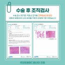 하트동물메디컬센터 이미지