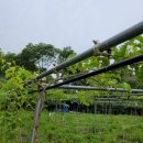 한실농장 이미지