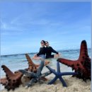 31140-5-30-3 | 24.04.26~30 보홀 3박5일 후기