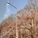 얌샘김밥수원영통테크트리점 | [25.4.6] 키즈요가TTC 시작💜 신랑에게 고마웠던 날