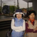 순금농장 이미지