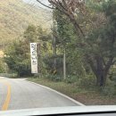 월드니스 | 영월글램핑 - 월드니스글램핑 가을 캠핑