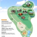 이안숲속야영장 이미지