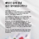 ＜빵지순례 성심당＞ 광복절 기자회견과 대전시당판넬 / 사회민주당, 진보당, 조국혁신당의 마지막 콜라보 연대시위와 판넬전 이미지