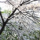 남산 산책로 이미지