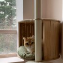 에어묘앤비 이미지