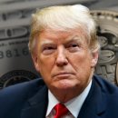 크레이지 더 코인 이미지