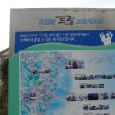 정훈희김태화 꽃밭에서 이미지