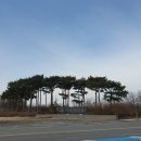 군산여행. 국립생태원 너무 커서 반도 못보고 지쳐돌아온 후기